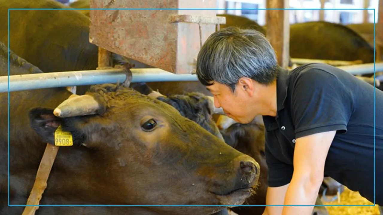 水迫ファーム・水迫畜産イメージ